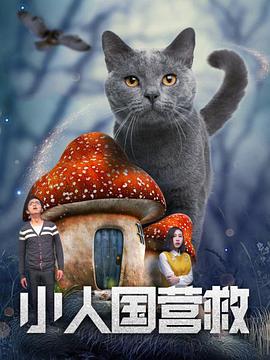 久久久久久久久久久久久女国产乱